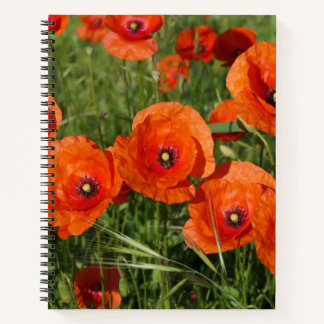 Common Poppies Notitieboek