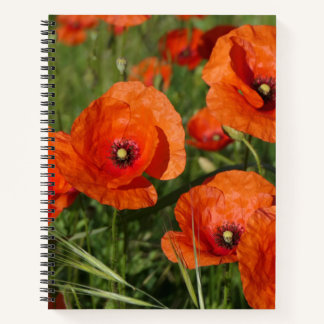 Common Poppies Notitieboek