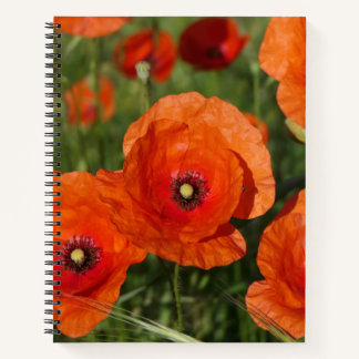 Common Poppies Notitieboek