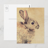 Common Rabbit Waterverf Sketch Briefkaart (Voorkant / Achterkant)