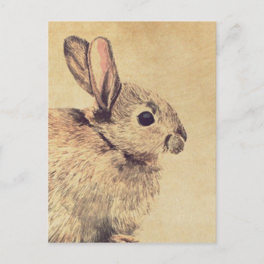 Common Rabbit Waterverf Sketch Briefkaart (Voorkant)
