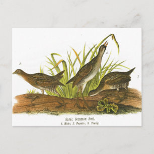 Common Rail Briefkaart