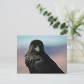 Common Raven Briefkaart (Staand voorkant)