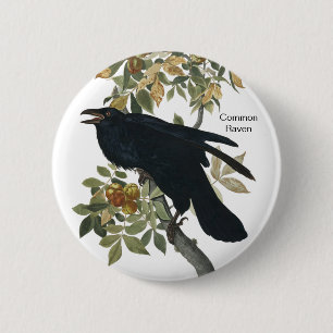 Common Raven by Audubon, Black Crow, Birdwatcher Ronde Button 5,7 Cm