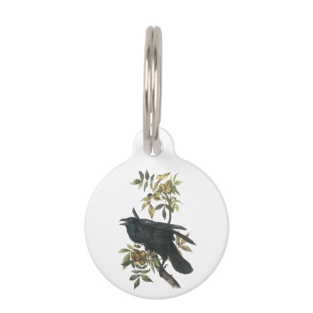 Common Raven by Audubon Huisdierpenning (Voorkant)