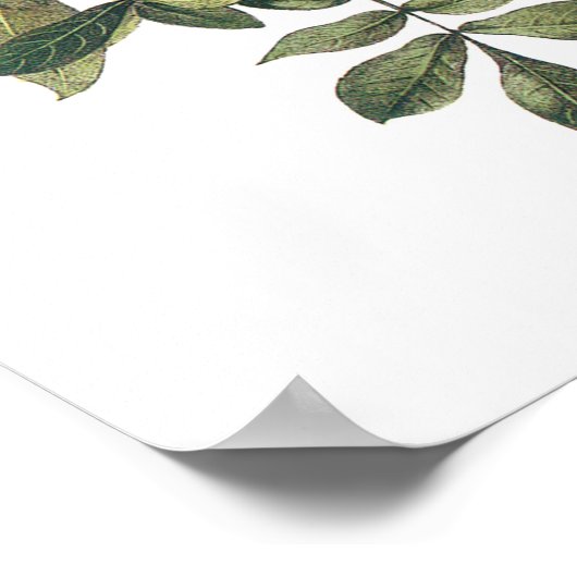 Common Raven by Audubon Poster (Hoek)