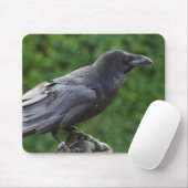 Common Raven Muismat (Met muis)
