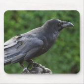 Common Raven Muismat (Voorkant)