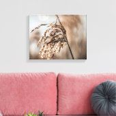 Common Reed Natuur Foto Canvas Afdruk (Insitu (Woonkamer))