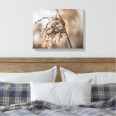 Common Reed Natuur Foto Canvas Afdruk (Insitu (Slaapkamer))