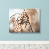 Common Reed Natuur Foto Canvas Afdruk (Insitu (Houten vloer))