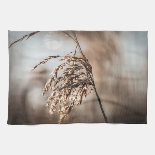 Common Reed Natuur Foto Theedoek (Horizontaal)