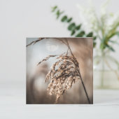 Common Reed Natuur Photo Card (Staand voorkant)