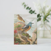 Common Rock Thrush Briefkaart (Staand voorkant)