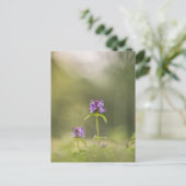 Common Self-Heal Natuur Foto Briefkaart (Staand voorkant)