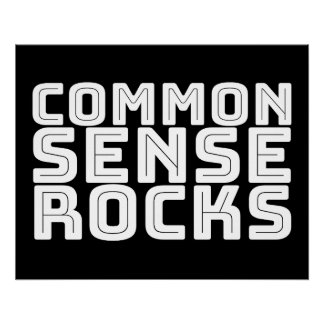 Common Sense - Logische Humor Perfect Poster