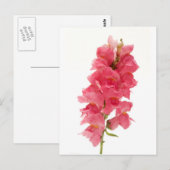 Common Snapdragon Briefkaart (Voorkant / Achterkant)