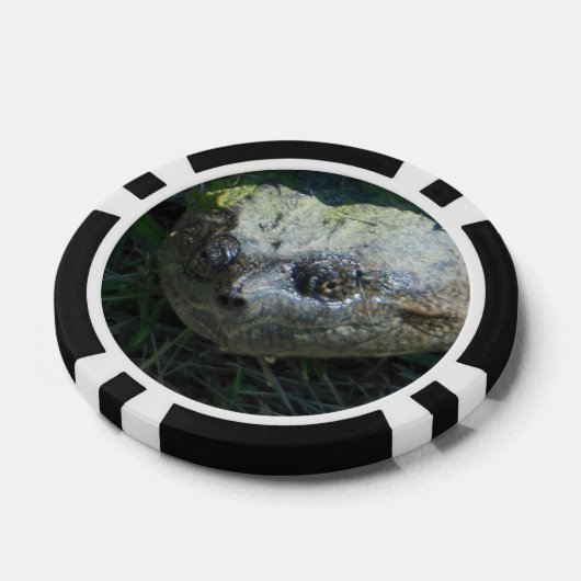 Common Snapper Turtle Poker Chips (Enkel)