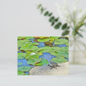 Common Snapping Turtle - Chelydra serpentina Briefkaart (Staand voorkant)