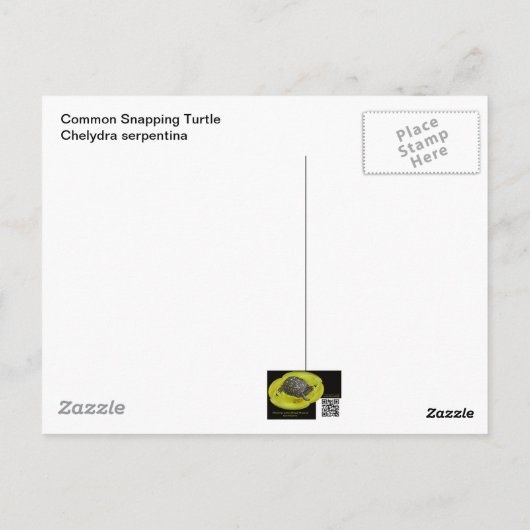 Common Snapping Turtle - Chelydra serpentina Briefkaart (Achterkant)