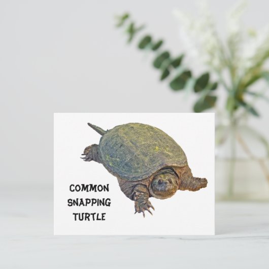 Common Snapping Turtle - Chelydra serpentina Briefkaart (Staand voorkant)