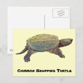 Common Snapping Turtle - Chelydra serpentina Briefkaart (Voorkant / Achterkant)