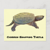 Common Snapping Turtle - Chelydra serpentina Briefkaart (Voorkant)