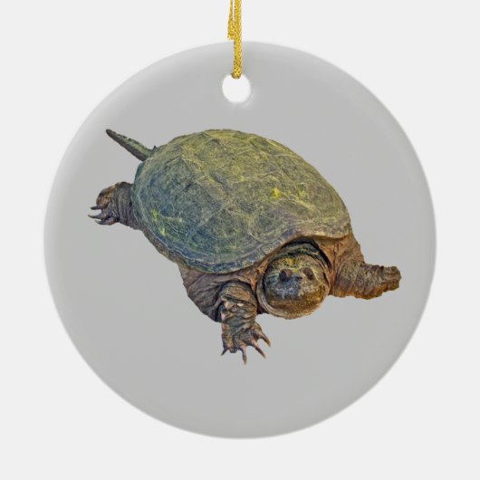 Common Snapping Turtle - Chelydra serpentina Keramisch Ornament (Achterkant)