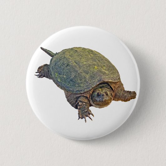 Common Snapping Turtle - Chelydra serpentina Ronde Button 5,7 Cm (Voorkant)