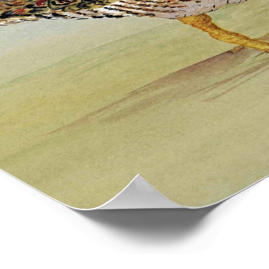 Common Snipe Art Poster (Hoek)