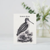 "Common Snipe"  illustratie Briefkaart (Staand voorkant)