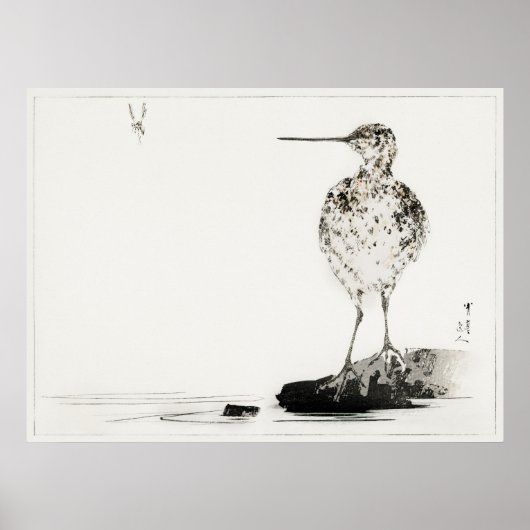 Common Snipe  Japan Illustratie Poster (Voorkant)