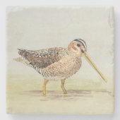 Common Snipe Onderzetter (Voorkant)