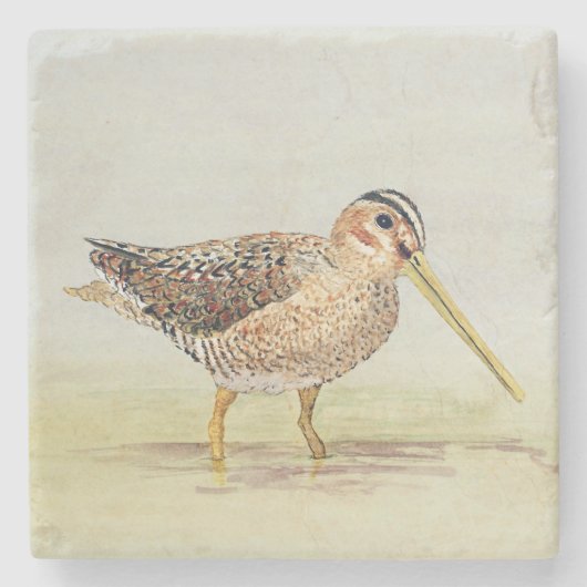 Common Snipe Onderzetter (Voorkant)