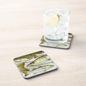 Common Snook Onderzetters (Rechterzijde)