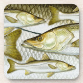 Common Snook Onderzetters (Voorkant)