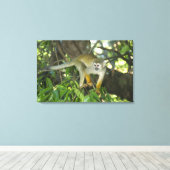 Common Squirrel Monkey (Saimiri sciureus), Rio Canvas Afdruk (Insitu (Houten vloer))