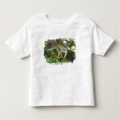 Common Squirrel Monkey (Saimiri sciureus), Rio Kinder Shirts (Voorkant)