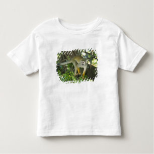 Common Squirrel Monkey (Saimiri sciureus), Rio Kinder Shirts