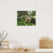Common Squirrel Monkey (Saimiri sciureus), Rio Poster (Keuken)
