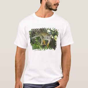 Common Squirrel Monkey (Saimiri sciureus), Rio T-shirt