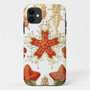 Common Starfish Design Case-Mate iPhone Case