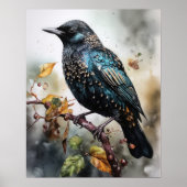 Common Starling Bird Art Print Poster (Voorkant)