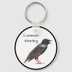 Common Starling Sleutelhanger