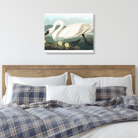 Common Swan Canvas Afdruk (Insitu (Slaapkamer))