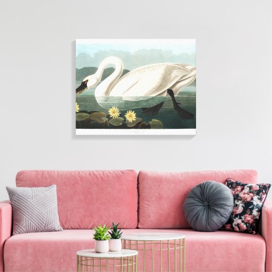 Common Swan Canvas Afdruk (Insitu (Woonkamer))