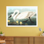 Common Swan Canvas Afdruk (Insitu (Woonkamer))
