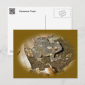 Common Toad Coordinating Items Briefkaart (Voorkant / Achterkant)