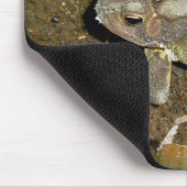 Common Toad Coordinating Items Muismat (Hoek)