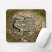 Common Toad Coordinating Items Muismat (Met muis)
